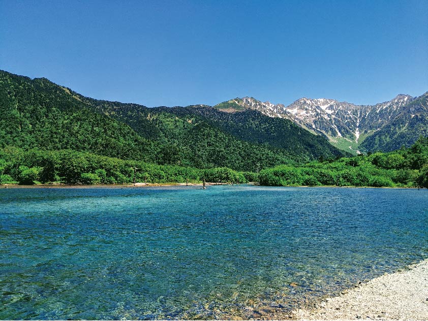 制限なしで外国人が土地を購入できるのは日本だけ