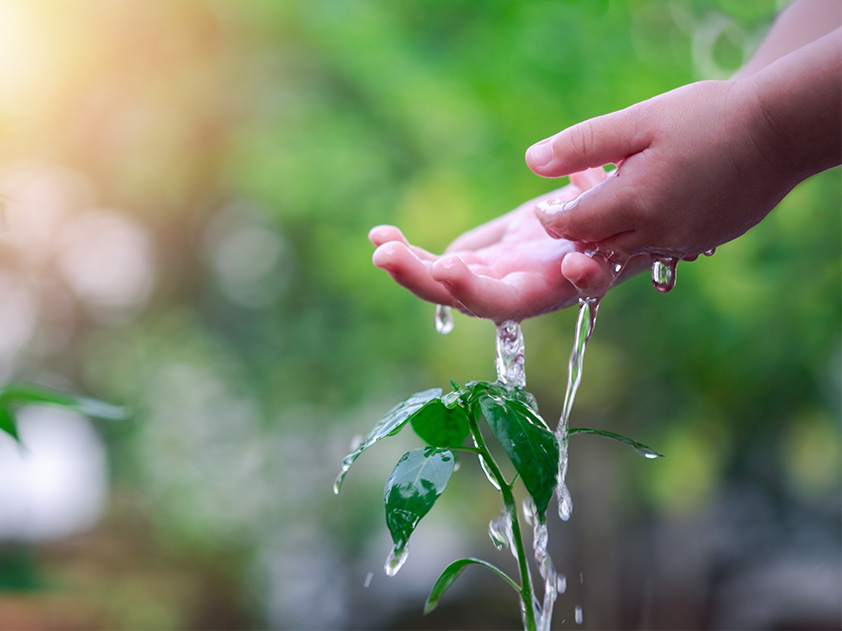 危険を回避し、教育を守る ―― 八ケ岳問題の核心