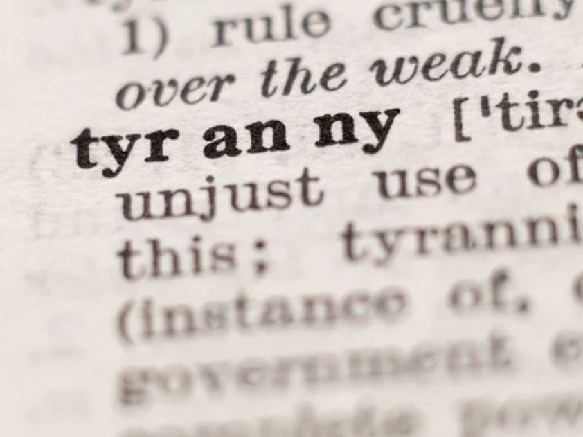 なぜ「身を切る改革」は政治を劣化させるのか